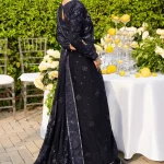 Blue Sequin Saree back view with sequined blouse