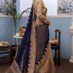 blue Saree back view with embroidered chiffon blouse
