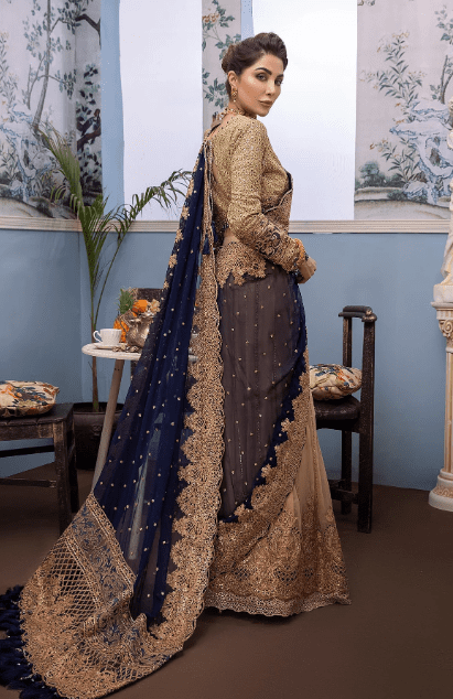 blue Saree back view with embroidered chiffon blouse