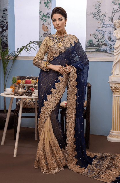 Blue Saree front view with Schiffli embroidered chiffon