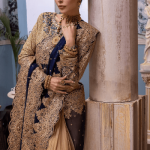 Blue Saree side view with embroidered chiffon pallu