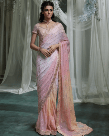 Peach Sequence Saree