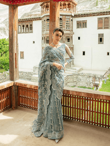 Latest Party Wear Saree Weeding Collection 2024