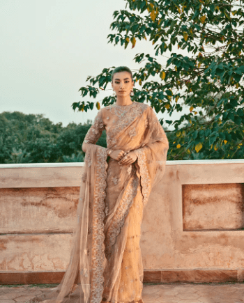 Net Embroidery Saree