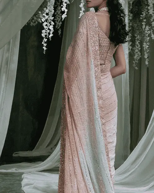 Peach Colour Saree back view with embroidered blouse