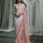 Peach Colour Saree front view with sequins and embroidery