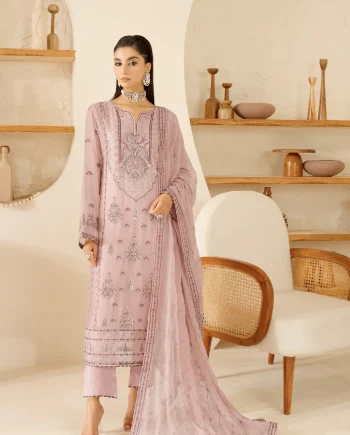 Front embroidered view of pink chiffon salwar kameez