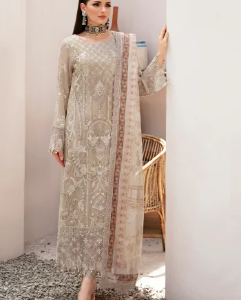 Front view of Salai Karai embroidered chiffon suit with elegant detailing