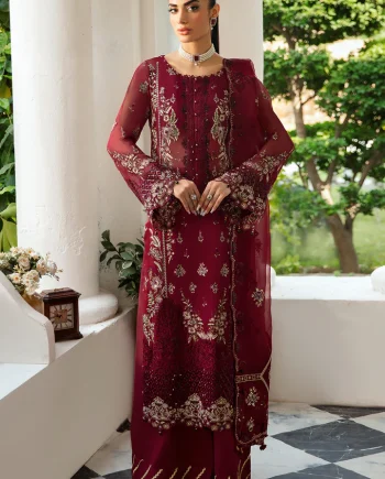 Red chiffon salwar kameez with embroidered organza lace and sequence work