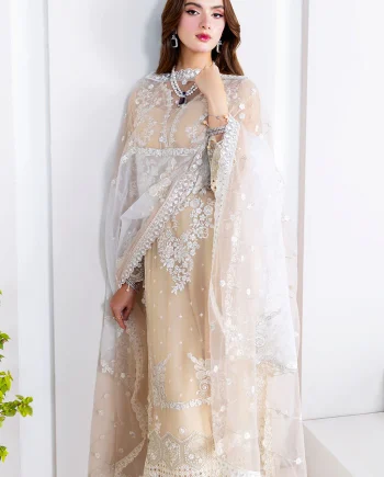 Pakistani Chiffon Shalwar Kameez sk-003 closerview