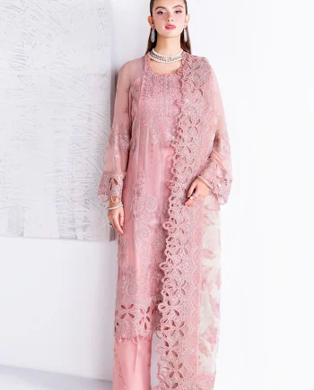 Premium Pakistani Chiffon Shalwar Kameez – Salai Karai 005 front view