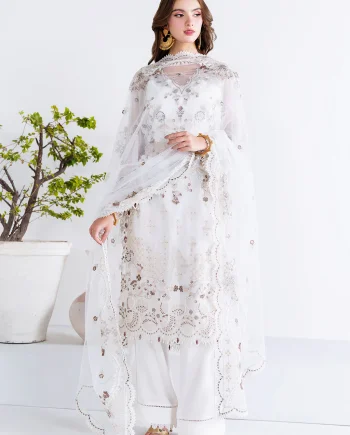 Elegant chiffon collection USA front view by Salai Karai