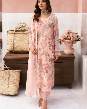 SK-012 Salai Karai chiffon embroidered outfit front view USA