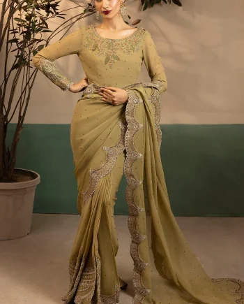 Brown Chiffon Pakistani Saree Front View – Salai Karai USA