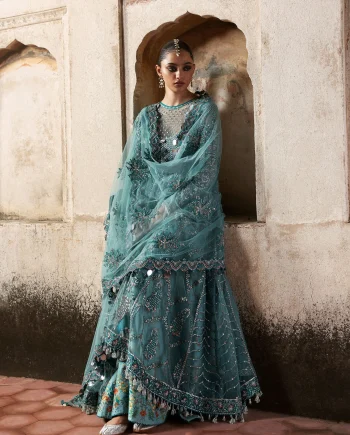 Front view of Hussain Rehar Nagma embroidered net dress