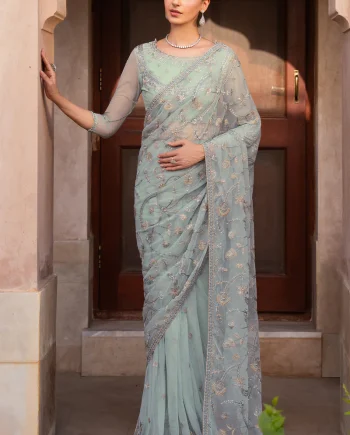 Sea Green Saree Front View with Embroidered Net and Silk