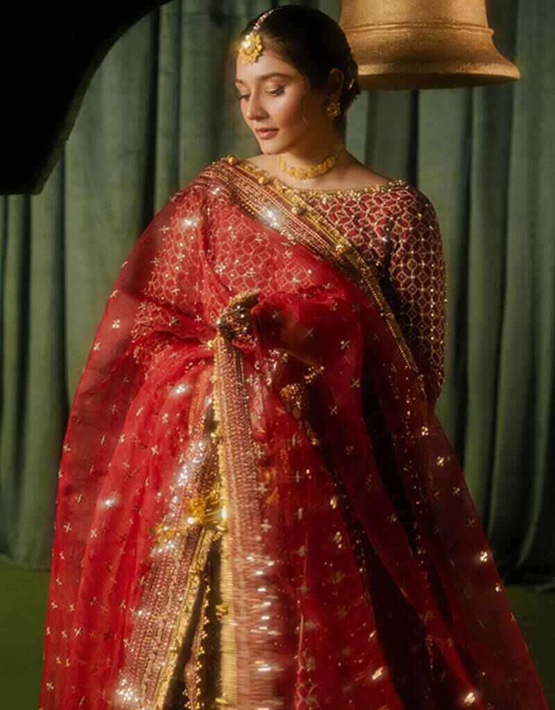 Alternative view of Royal Red Lehenga – Perfect for Your Dream Wedding