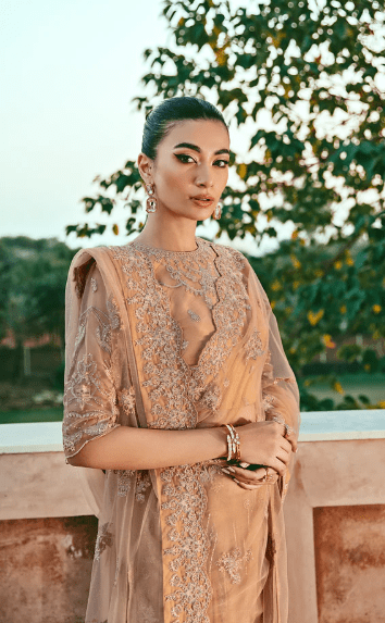 Alternative view of Net Embroidery Saree Embroidered Latest Collection 2024