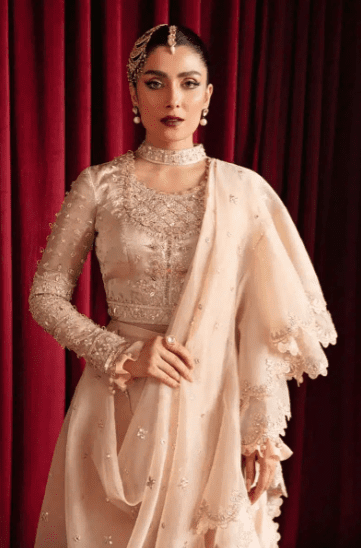 Sheesha Embroidered ORGANZA Saree Latest Collection 2023