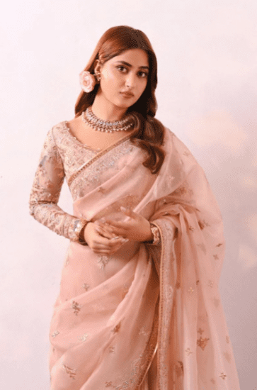 Alternative view of Pastel Pink Organza Saree Latest Collection 2023