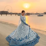 Net dupatta with embroidered center & pallu