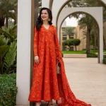 Faiza Saqlain Denisa embroidered dupatta detail elegant designer outfit